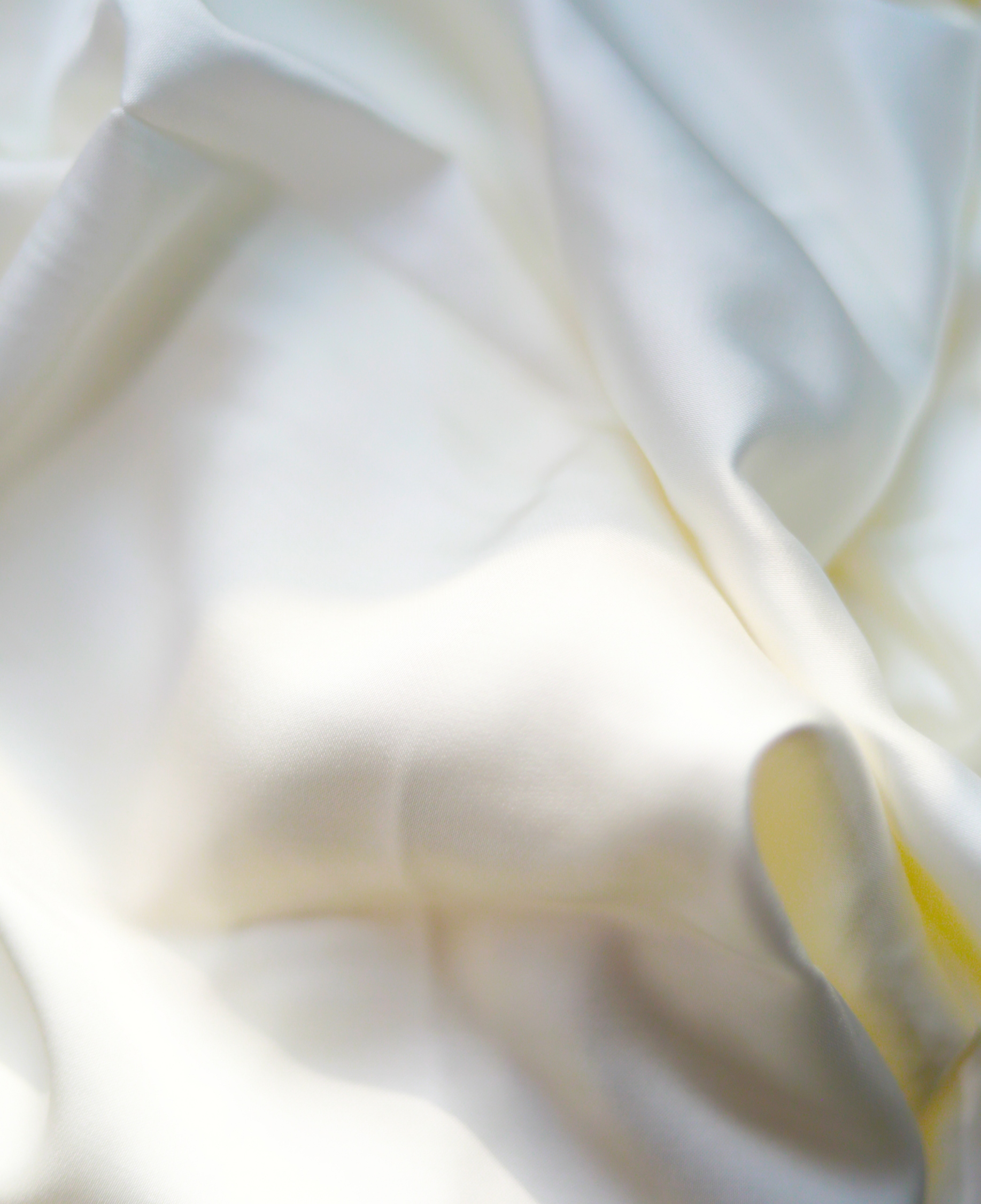 BG����(����)Ψһ�ٷ���վ