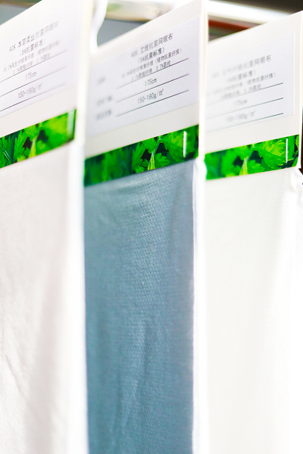 BG����(����)Ψһ�ٷ���վ