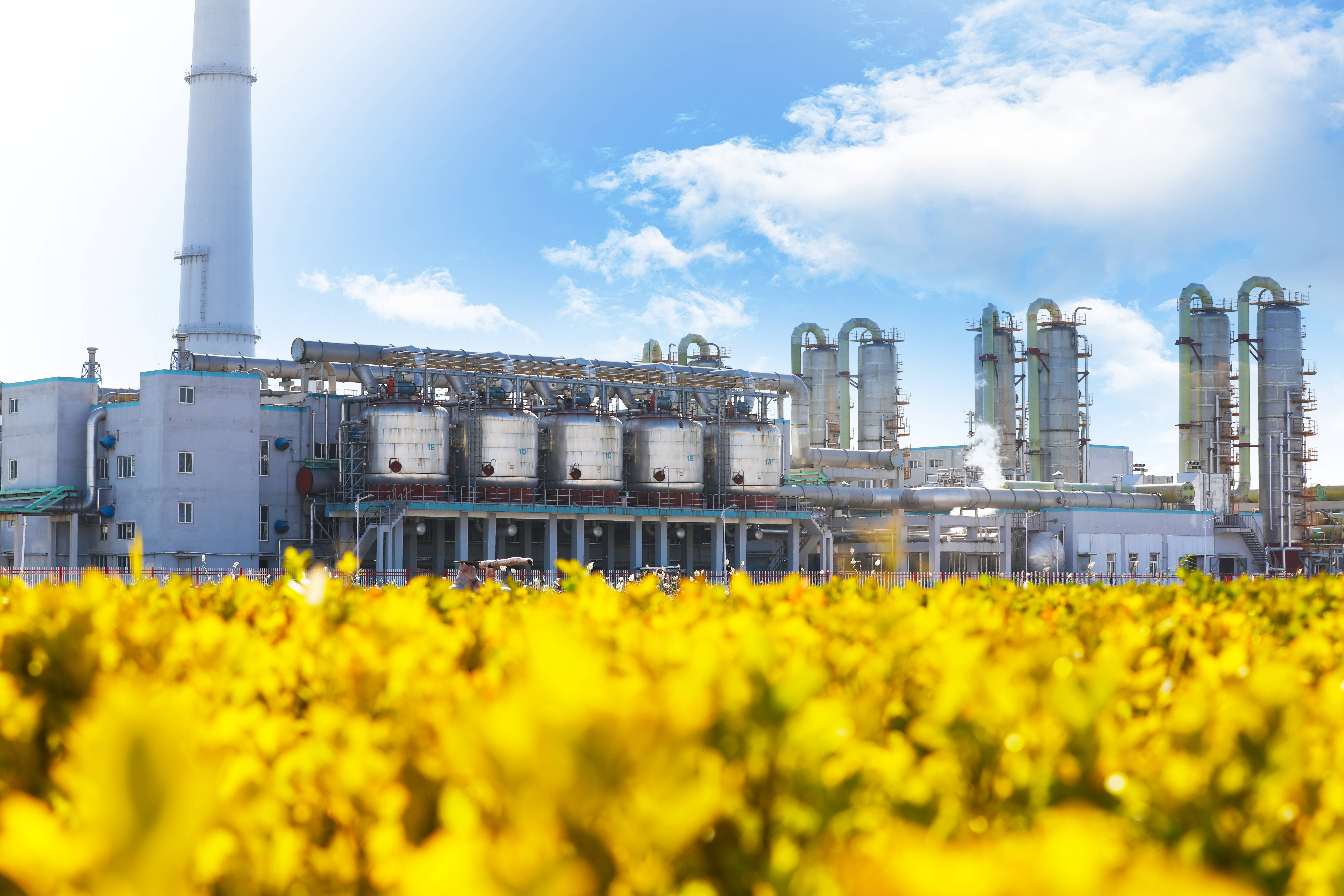 BG����(����)Ψһ�ٷ���վ